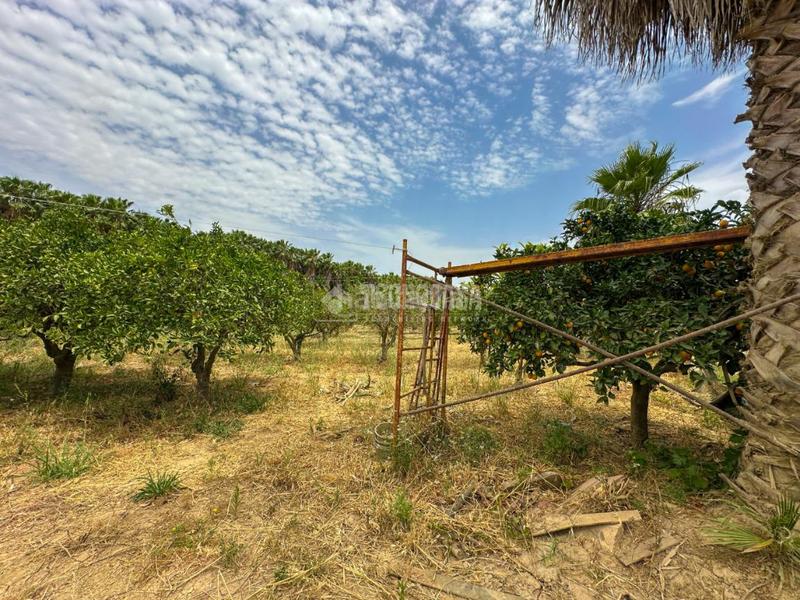Foto 0f983427-6f88-4b09-b058-090467c248ea. Finca rústica terrenos en venta en El Romeral-Peñón de Zapata Alhaurín de la Torre
