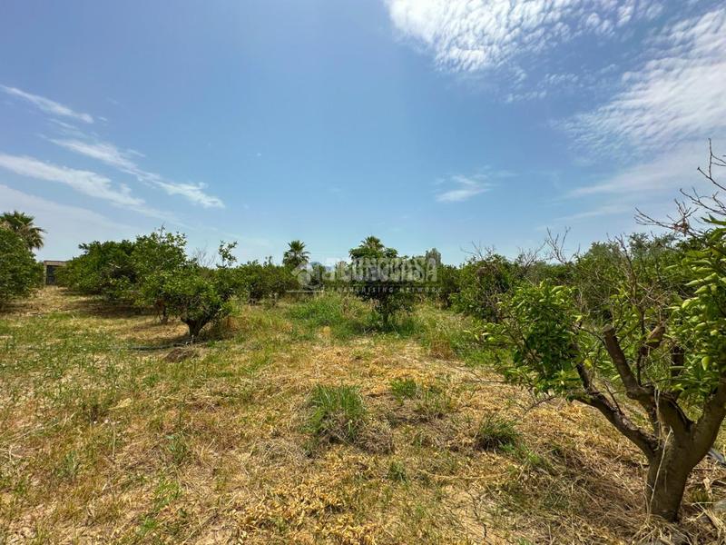 Foto 59d23cf7-4c79-456b-a7ec-dd6ea2519e89. Finca rústica terrenos en venta en El Romeral-Peñón de Zapata Alhaurín de la Torre