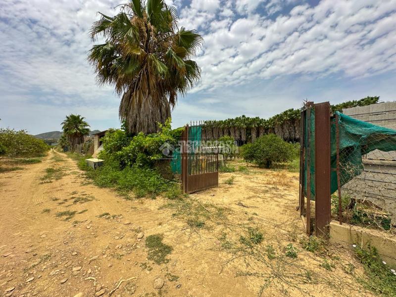 Foto 678e91e7-a0bb-48d2-b12e-f50ffab4fd6f. Finca rústica terrenos en venta en El Romeral-Peñón de Zapata Alhaurín de la Torre