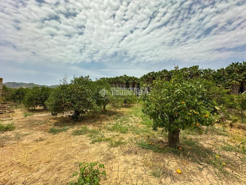 Foto 76c98d94-d178-413a-840e-375d3ba10422. Finca rústica terrenos en venta en El Romeral-Peñón de Zapata Alhaurín de la Torre