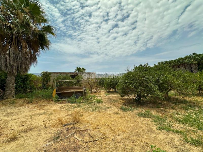 Foto 7f80cef7-0951-4ae6-af46-56821c21eb43. Finca rústica terrenos en venta en El Romeral-Peñón de Zapata Alhaurín de la Torre