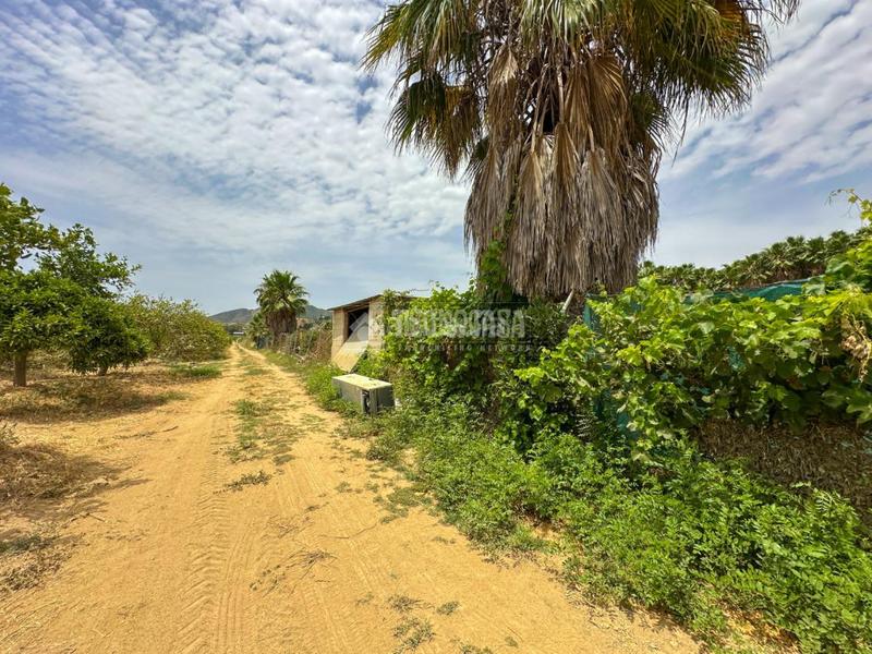 Foto 9ff4a244-58ff-4df2-9515-e00f1c1d9933. Finca rústica terrenos en venta en El Romeral-Peñón de Zapata Alhaurín de la Torre
