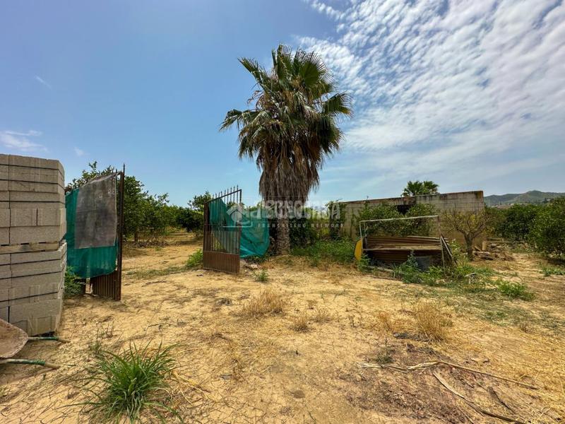 Foto b7d49e3f-289c-45b1-825d-066629ec3930. Finca rústica terrenos en venta en El Romeral-Peñón de Zapata Alhaurín de la Torre