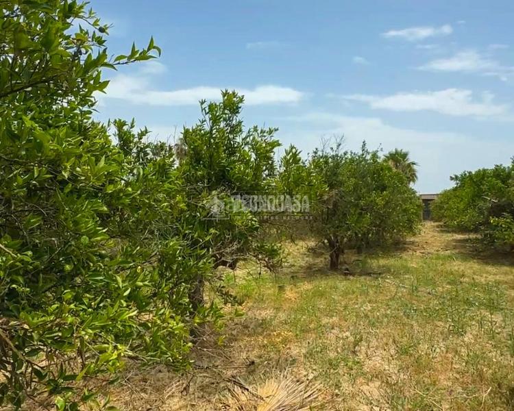Foto da2dace6-5cc5-443f-b939-5dff14e1b0de. Finca rústica terrenos en venta en El Romeral-Peñón de Zapata Alhaurín de la Torre
