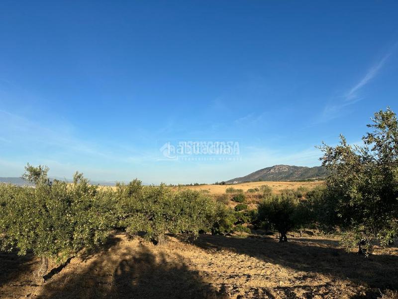 Foto 1fbec8af-0b11-43eb-accd-62276ec0f7d1. Fondo rustico in Buenavista-Lauro Golf Alhaurín de la Torre