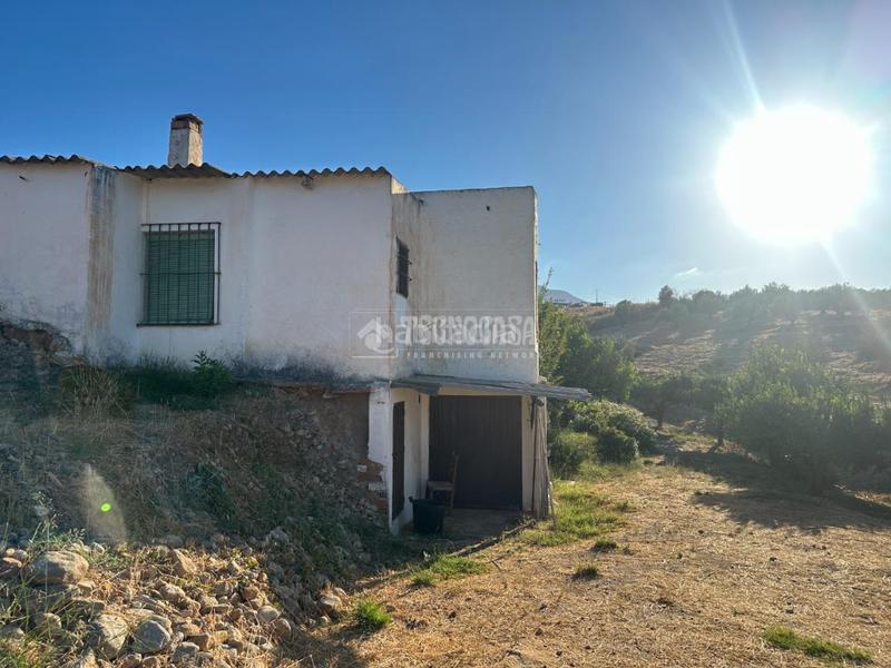 Foto 411aa34a-af59-4a76-a934-2edc79f6c81f. Fondo rustico in Buenavista-Lauro Golf Alhaurín de la Torre