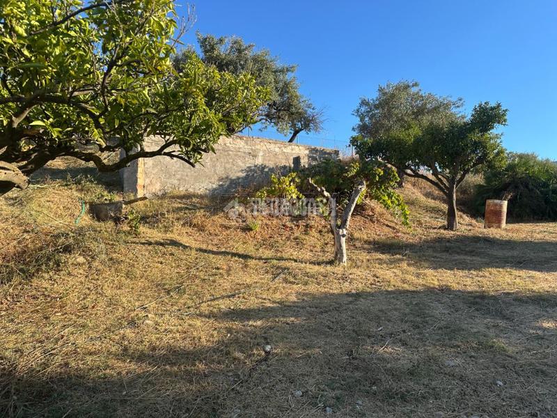 Foto 4dde5b20-6d66-42c5-850d-7d05c1dc962f. Fondo rustico in Buenavista-Lauro Golf Alhaurín de la Torre