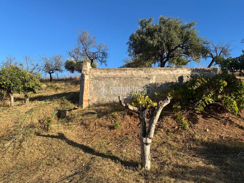 Foto 64e431b7-4aae-4112-8fe3-475b849982e3. Fondo rustico in Buenavista-Lauro Golf Alhaurín de la Torre
