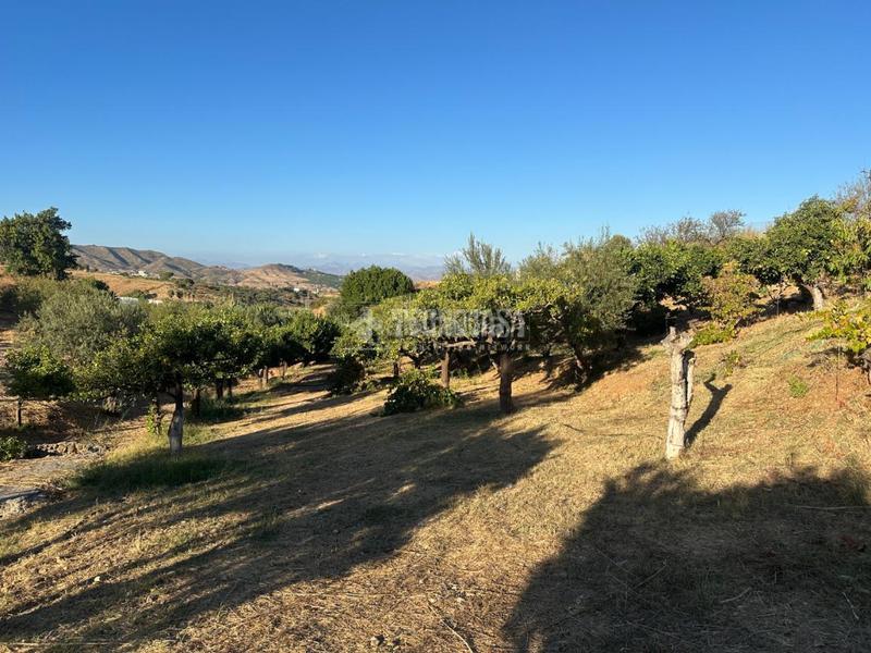 Foto 7bff0e38-dae7-4bde-bef7-51751679011e. Fondo rustico in Buenavista-Lauro Golf Alhaurín de la Torre