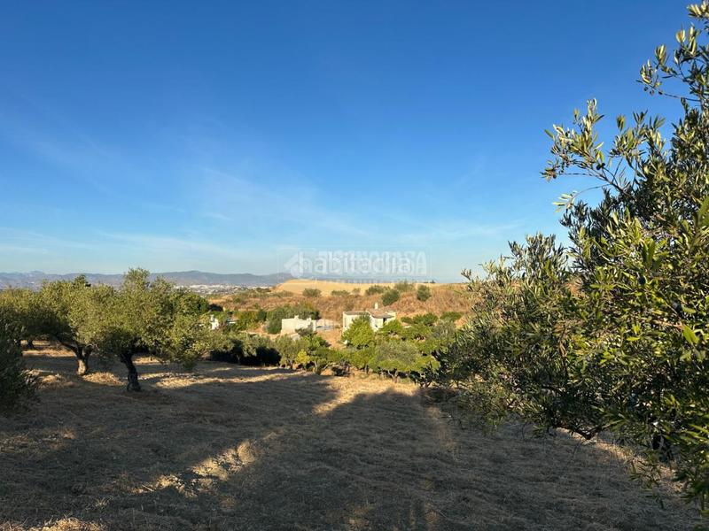 Foto 8d0b3b93-c996-4103-82ff-622cf6917fa5. Fondo rustico in Buenavista-Lauro Golf Alhaurín de la Torre