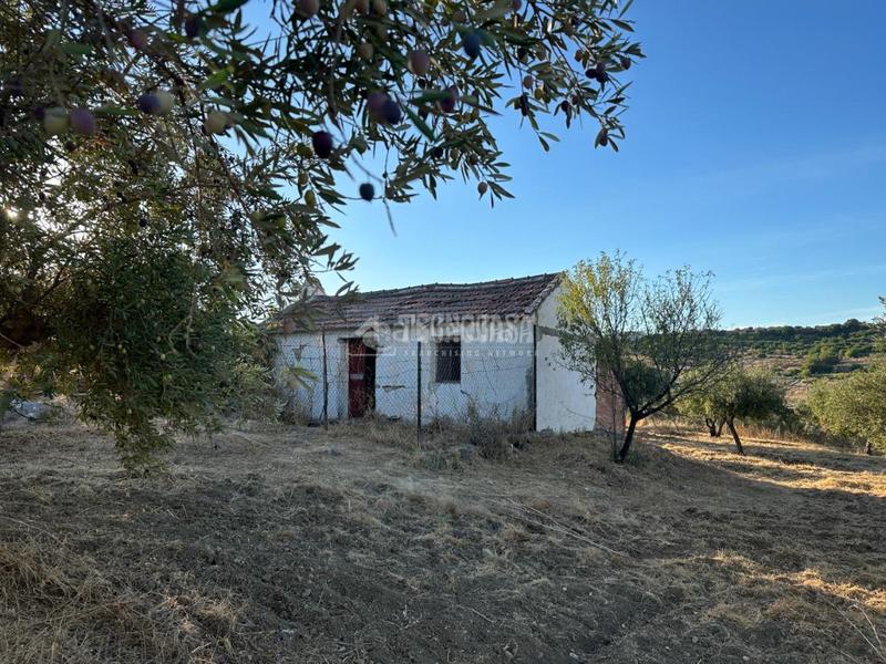 Foto a2adbc2e-9c0c-4f4e-acde-013d518cfcc6. Fondo rustico in Buenavista-Lauro Golf Alhaurín de la Torre