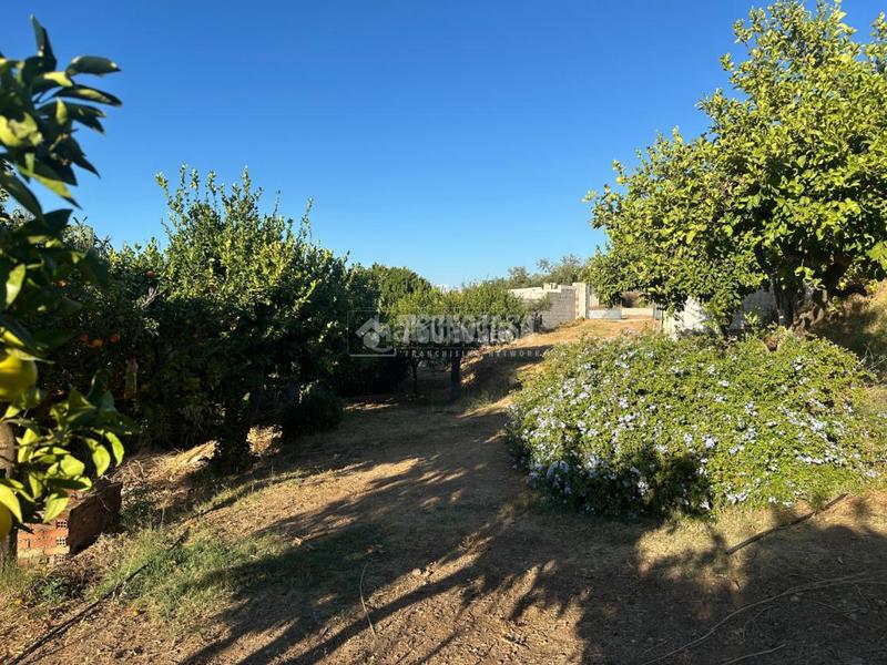 Foto aa504946-e136-4fcf-a477-2e7ae4f641ec. Fondo rustico in Buenavista-Lauro Golf Alhaurín de la Torre