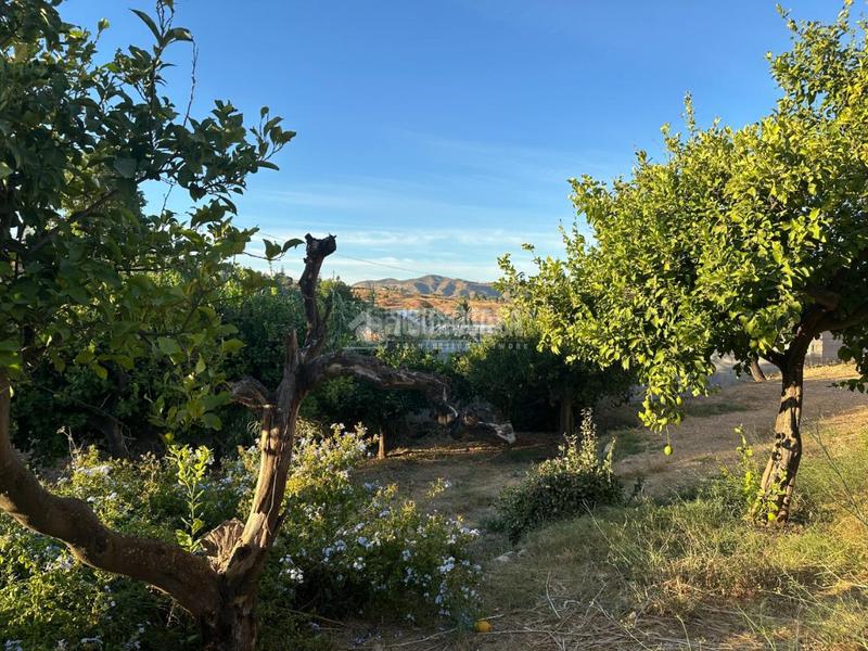 Foto fd3d1f68-7b35-4637-8009-f75a27641ce2. Fondo rustico in Buenavista-Lauro Golf Alhaurín de la Torre