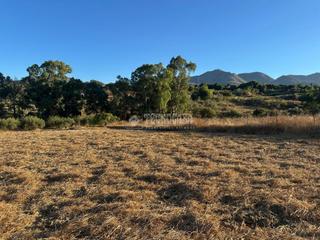 Finca rústica a Buenavista-Lauro Golf. Terrenos en venta en alhaurín de la torre