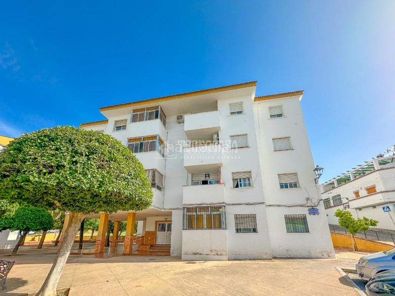 Foto c1a54d7d-ee29-4139-8ccb-8af866de3de8. Pis a Jardines de Alhaurín-Huerta Alta-Fuensanguínea Alhaurín de la Torre