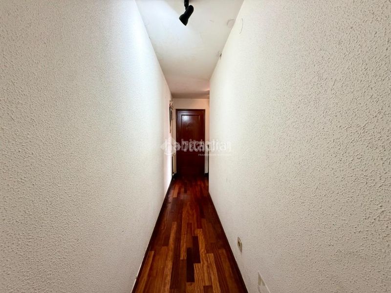 Foto cb1fa35d-b201-4b7f-bdfb-21d487e0510e. Pis a Alisal - San Román Santander