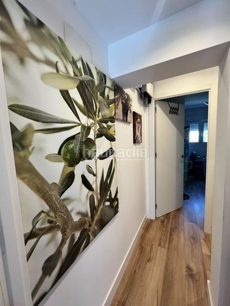 Foto be1bd7bb-0ed0-40f1-af1b-dbf2c8fab1d0. Doppelhaus in Gines