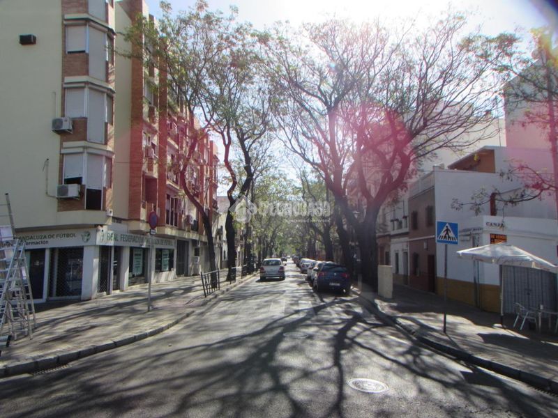 Foto ee95d083-6102-45ad-9ce4-f47a903287b0. Pis a El Cerro Sevilla