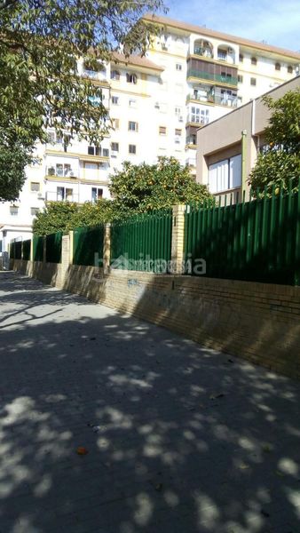 Foto 3fd49ffc-7bb1-4ab7-a730-50b1df923bf7. Rent flat in El Cerro Sevilla