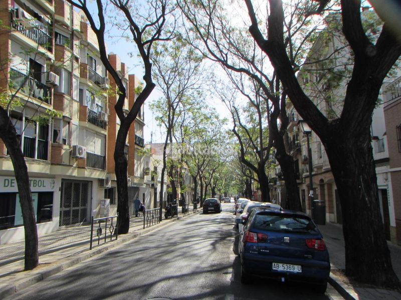 Foto 4842cc2e-65b4-4c6c-80eb-c9be3aa9c3f3. Rent flat in El Cerro Sevilla