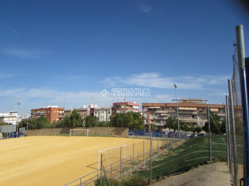 Foto 386a1c9b-895f-4c00-8488-4a48de0e77e9. Alquiler piso  en alquiler en El Cerro Sevilla