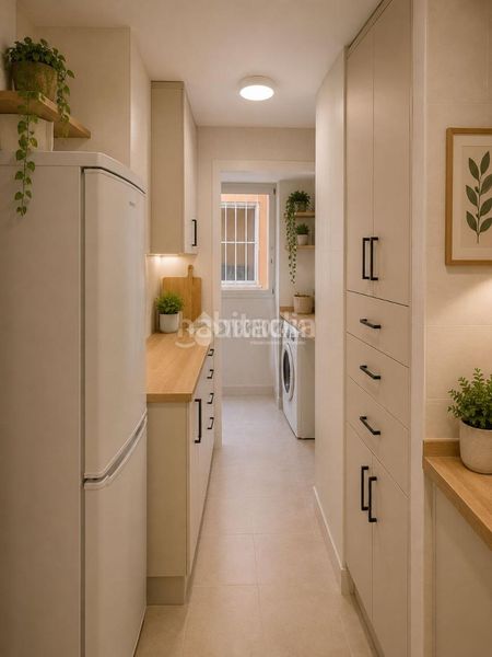 Foto ad0bff25-2e80-4e3c-9475-7347e3a783a1. Pis a alegría de la huerta- jardín de Málaga Málaga