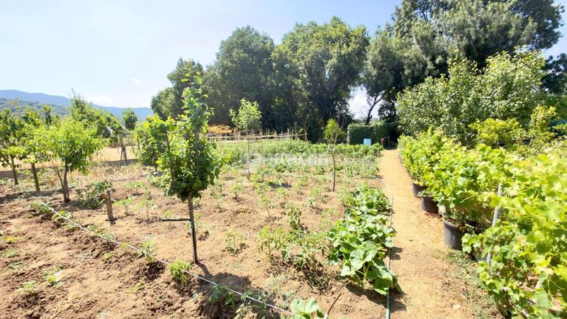 Foto 2bd9ba84-b30e-4d76-b070-f00d67fd3c7c. Finca rústica a Barrios (Los)
