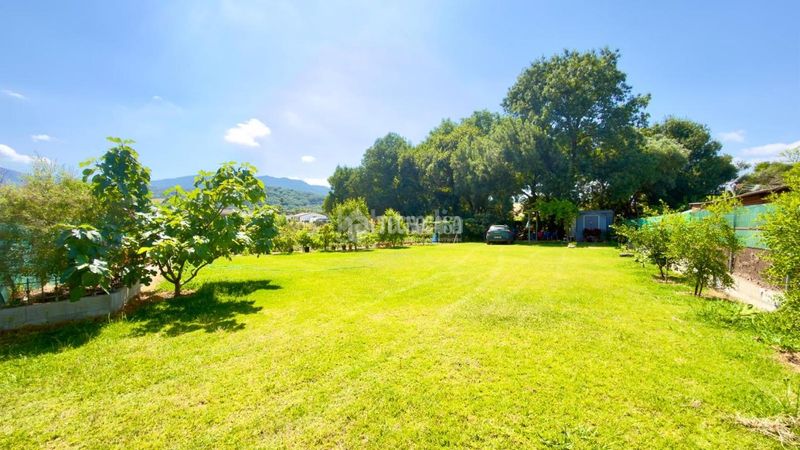 Foto 9cd86182-cd72-4242-bd88-5ba1a28a367e. Finca rústica a Barrios (Los)