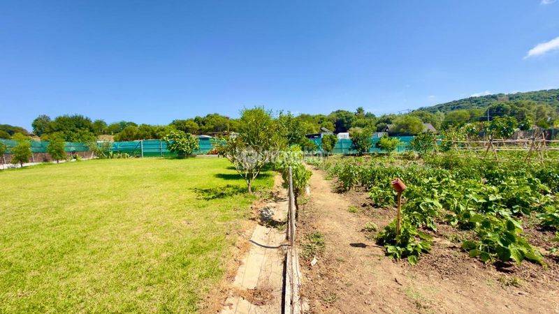 Foto b83b1699-c384-46b5-8a5d-b2f4ba686703. Finca rústica a Barrios (Los)