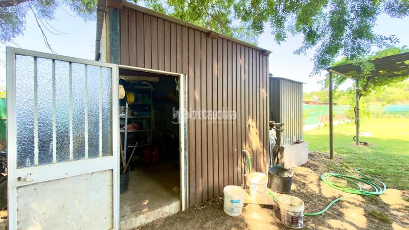 Foto cdabe200-da53-4fd0-8f42-6752d1e80f15. Finca rústica a Barrios (Los)