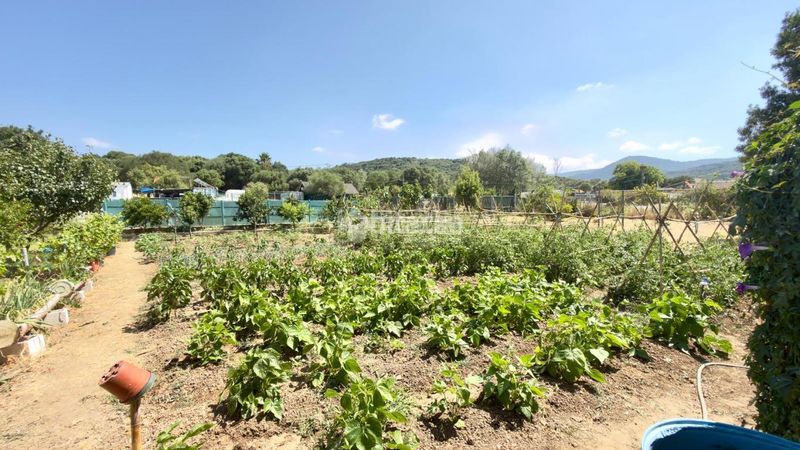 Foto e24d1f71-962d-41d4-bd02-69984eb7e666. Finca rústica a Barrios (Los)