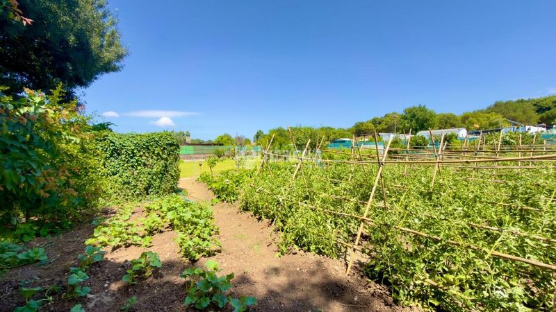 Foto f6535b00-dab8-4dff-8f62-698857b651f0. Finca rústica a Barrios (Los)