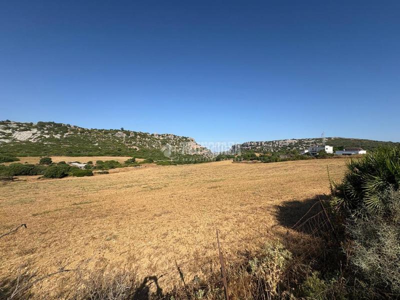 Foto 0483d877-cf75-48e7-8985-27628c81378e. Landgut in Casares pueblo Casares