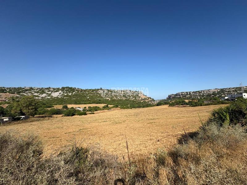 Foto 3999db97-6d98-4dfe-a02f-ef145ce940c7. Landgut in Casares pueblo Casares