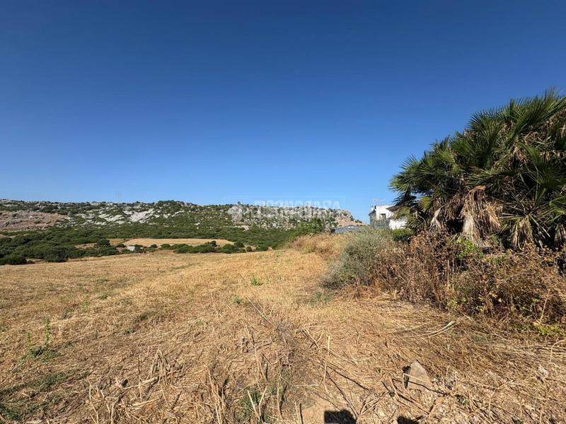 Foto 74f98147-a2f8-4d7c-bf49-66fc47e814db. Landgut in Casares pueblo Casares