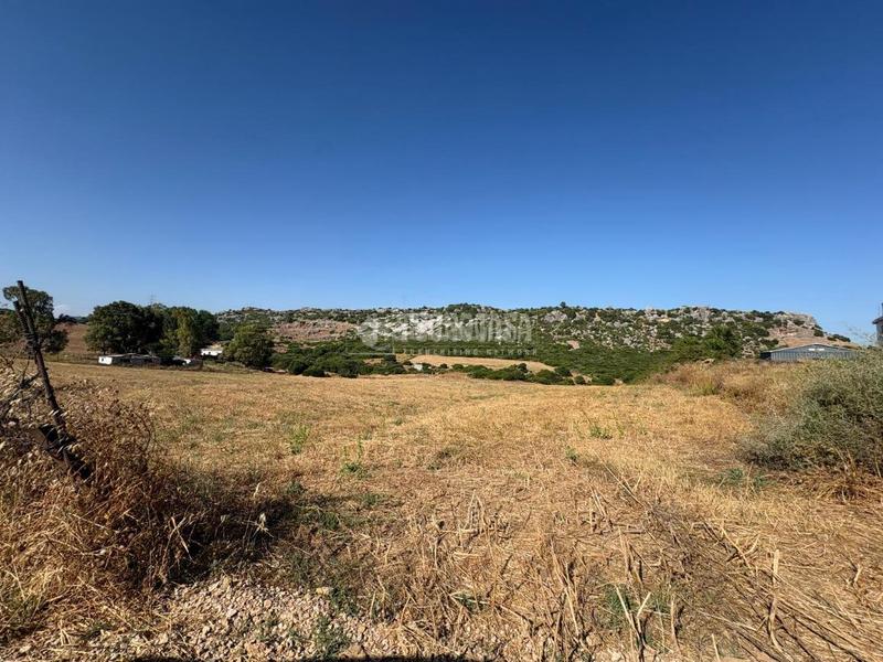 Foto 919396f3-d3ba-462a-8986-a7a1d7ad4172. Landgut in Casares pueblo Casares