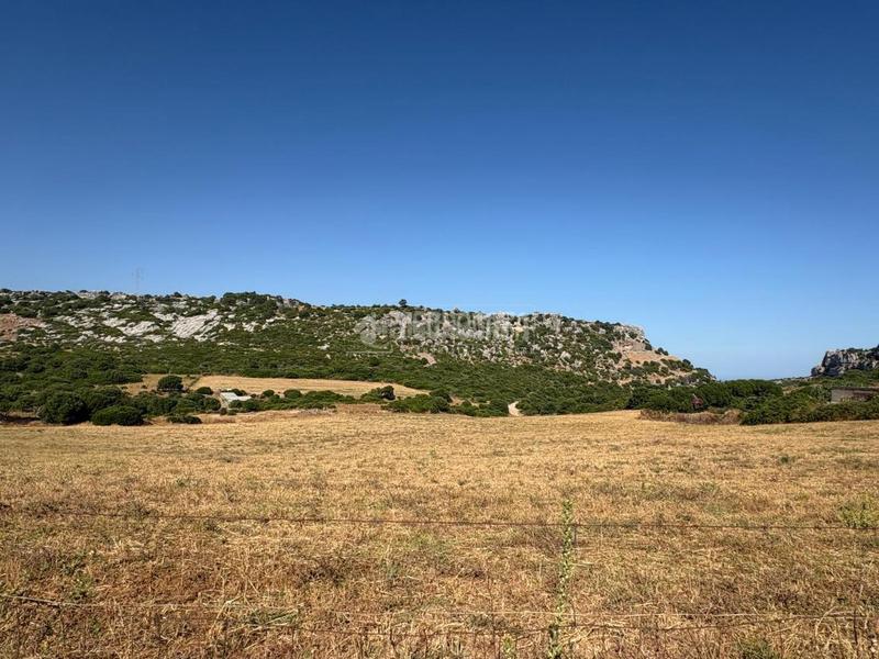 Foto abf071f1-3338-464f-93bf-ee9c95f62c8c. Landgut in Casares pueblo Casares