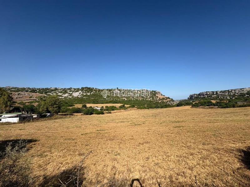 Foto ad820929-a6f6-44e5-b670-69d34143bc99. Landgut in Casares pueblo Casares