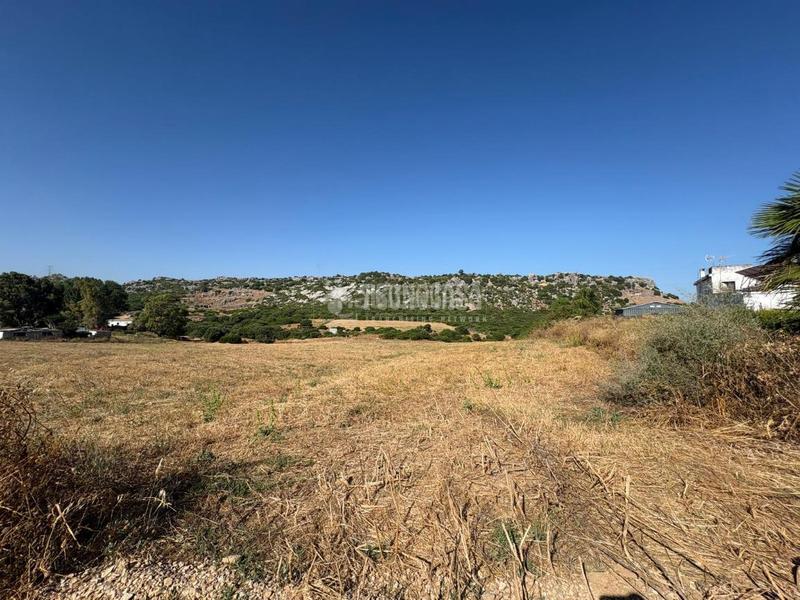 Foto ae0c547a-cbe6-49ba-96d9-0bd071c1d427. Landgut in Casares pueblo Casares