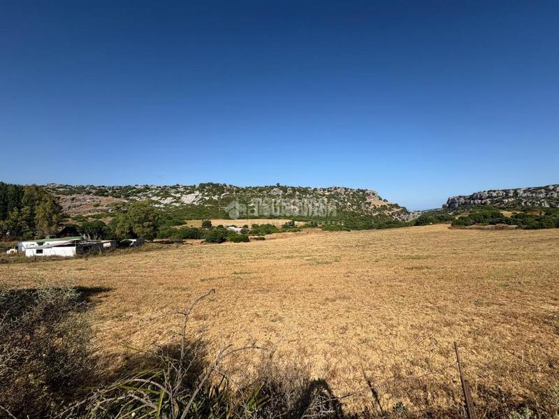Foto e27f4df7-fbd6-4e0a-8341-0fe407c364ce. Landgut in Casares pueblo Casares