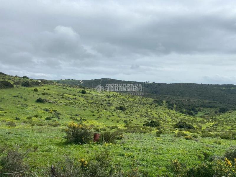 Foto 2eaf587c-94b1-4426-ad4b-c39a8e66e5de. Propriété dans Chullera Manilva