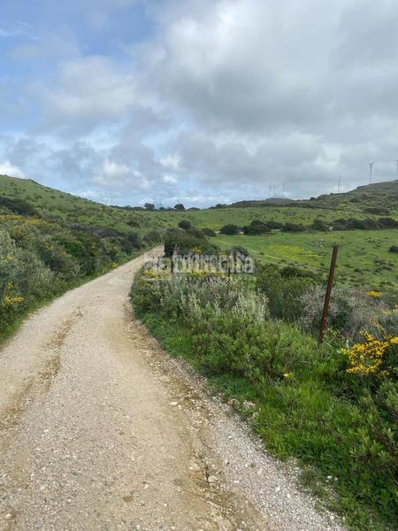 Foto 2fef5fc5-f690-4b44-8b51-5ba3c2557c2b. Propriété dans Chullera Manilva