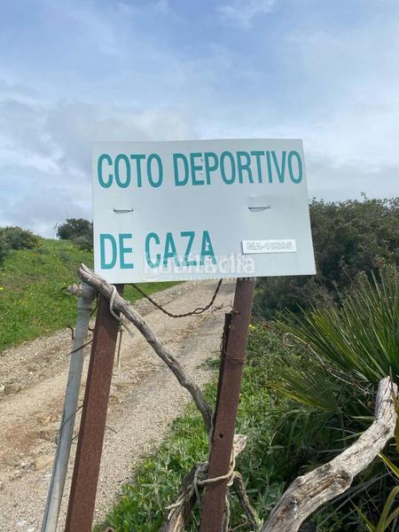 Foto 3238b9a7-c537-4df1-b0a4-74372c3311c0. Propriété dans Chullera Manilva