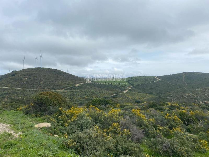 Foto 3492c8d2-5297-4765-991f-a497a8a3ef95. Propriété dans Chullera Manilva