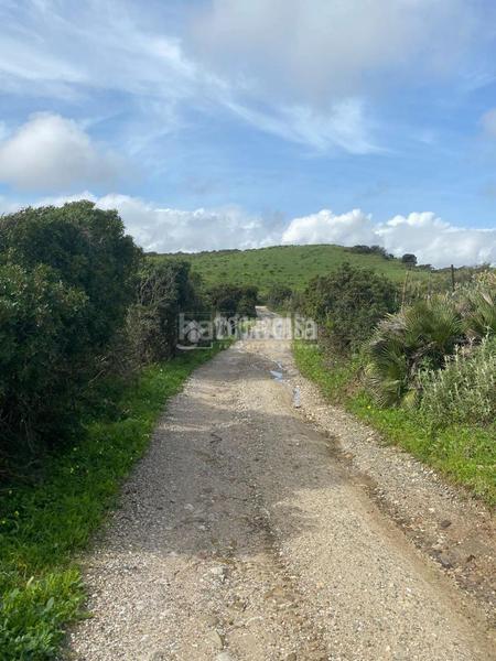 Foto 3d7d13bc-a9f1-4b24-8ce1-f25d2042022e. Propriété dans Chullera Manilva