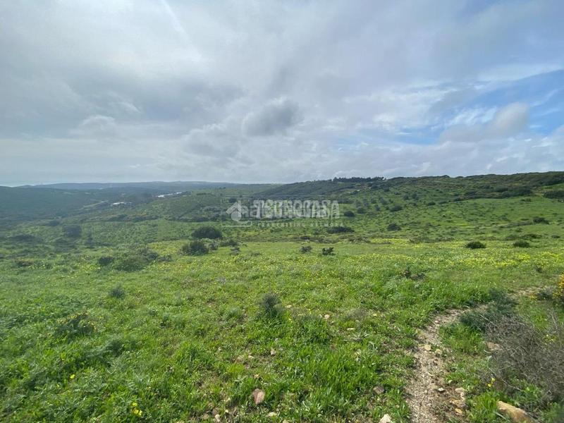 Foto 4200161a-cc8c-470f-9462-ca971a9c0a72. Propriété dans Chullera Manilva