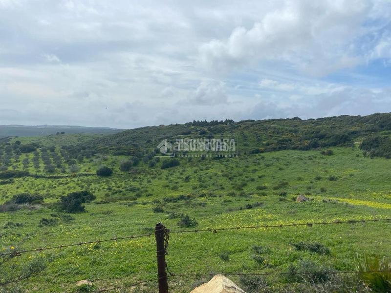 Foto b0492e66-36d0-4122-8bc1-2294a16bf5e1. Propriété dans Chullera Manilva