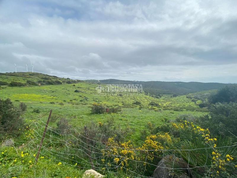 Foto f2597d23-c3f9-441f-b1ae-8189fbe1cdc2. Propriété dans Chullera Manilva