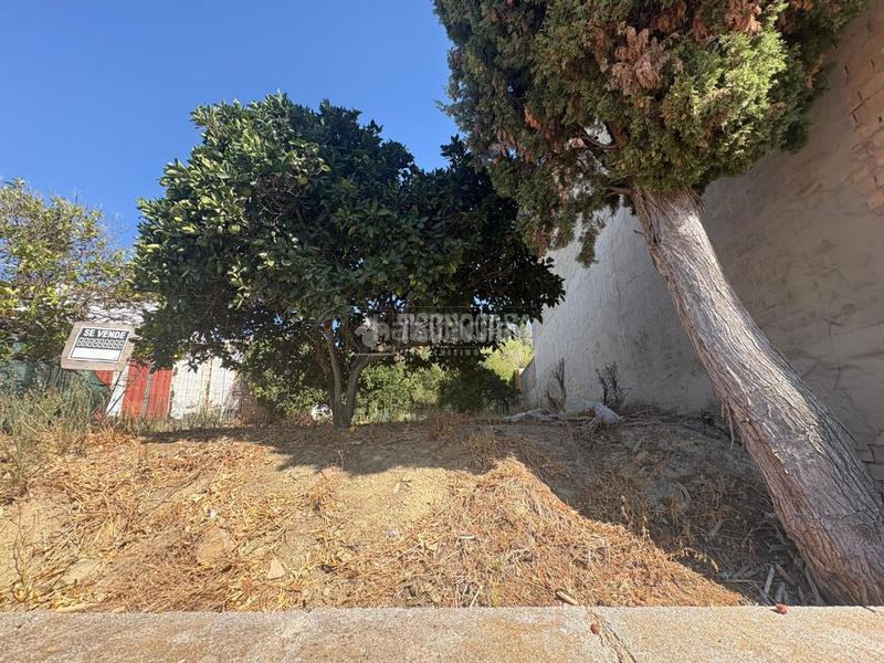 Foto 5c679a73-e01e-4bbd-a789-a5ae5c7e791d. Terrain résidentiel dans Casares pueblo Casares