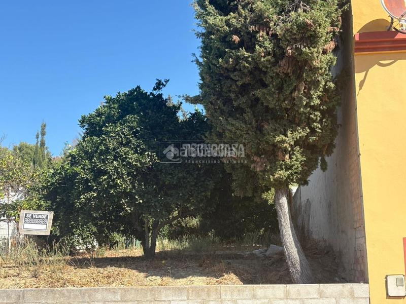 Foto c424ed6e-8e4c-4273-9752-6af01404f24c. Terrain résidentiel dans Casares pueblo Casares